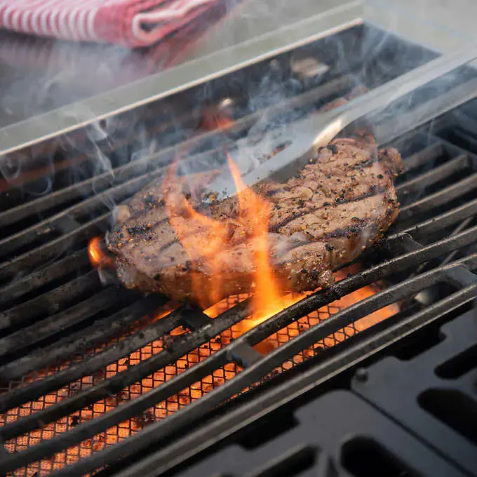Kirkland Signature Stone Island Gas Grill — 12-Burner Outdoor Cooking System